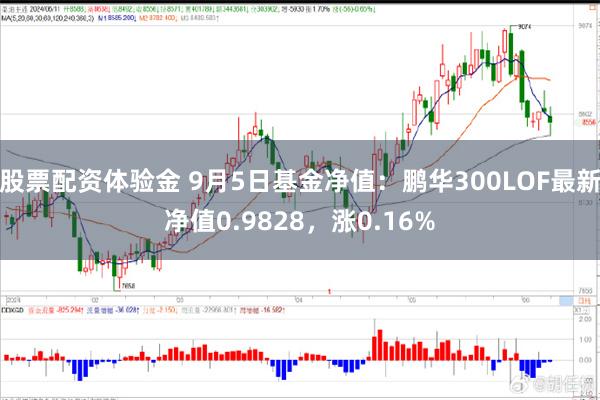 股票配资体验金 9月5日基金净值：鹏华300LOF最新净值0.9828，涨0.16%