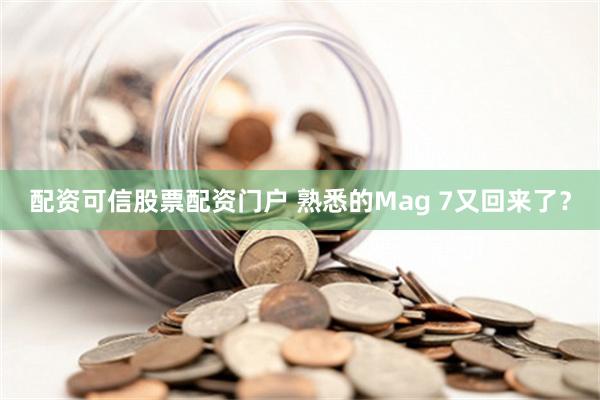 配资可信股票配资门户 熟悉的Mag 7又回来了？