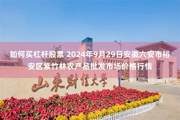 如何买杠杆股票 2024年9月29日安徽六安市裕安区紫竹林农产品批发市场价格行情