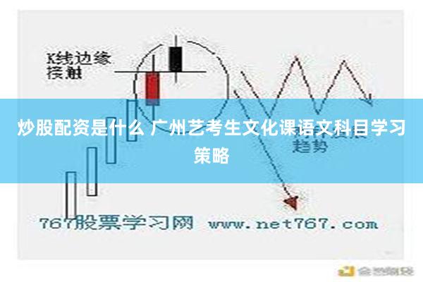 炒股配资是什么 广州艺考生文化课语文科目学习策略