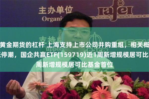 黄金期货的杠杆 上海支持上市公司并购重组，相关概念股掀涨停潮，国企共赢ETF(159719)近1周新增规模居可比基金首位