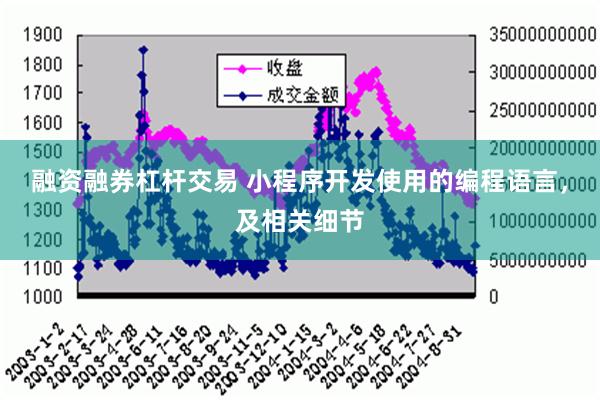 融资融券杠杆交易 小程序开发使用的编程语言，及相关细节