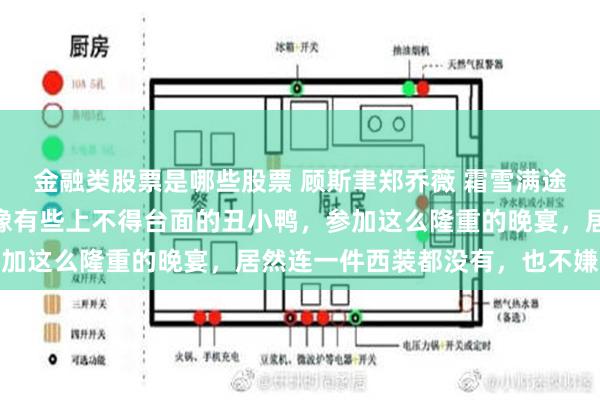 金融类股票是哪些股票 顾斯聿郑乔薇 霜雪满途爱成灰 可不是嘛，不像有些上不得台面的丑小鸭，参加这么隆重的晚宴，居然连一件西装都没有，也不嫌丢人